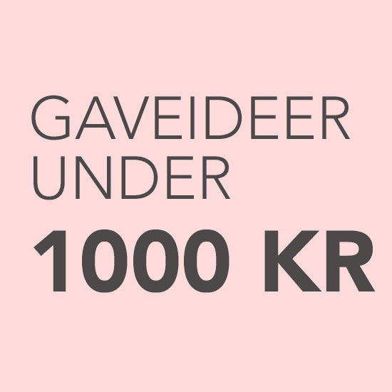 Julegaver under 1000 kr